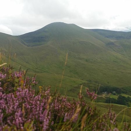 טיפרארי Ballinacourty House B&B מראה חיצוני תמונה