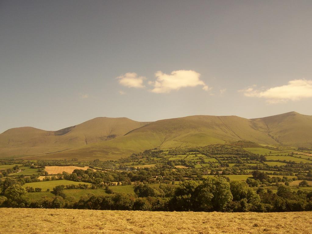 טיפרארי Ballinacourty House B&B מראה חיצוני תמונה