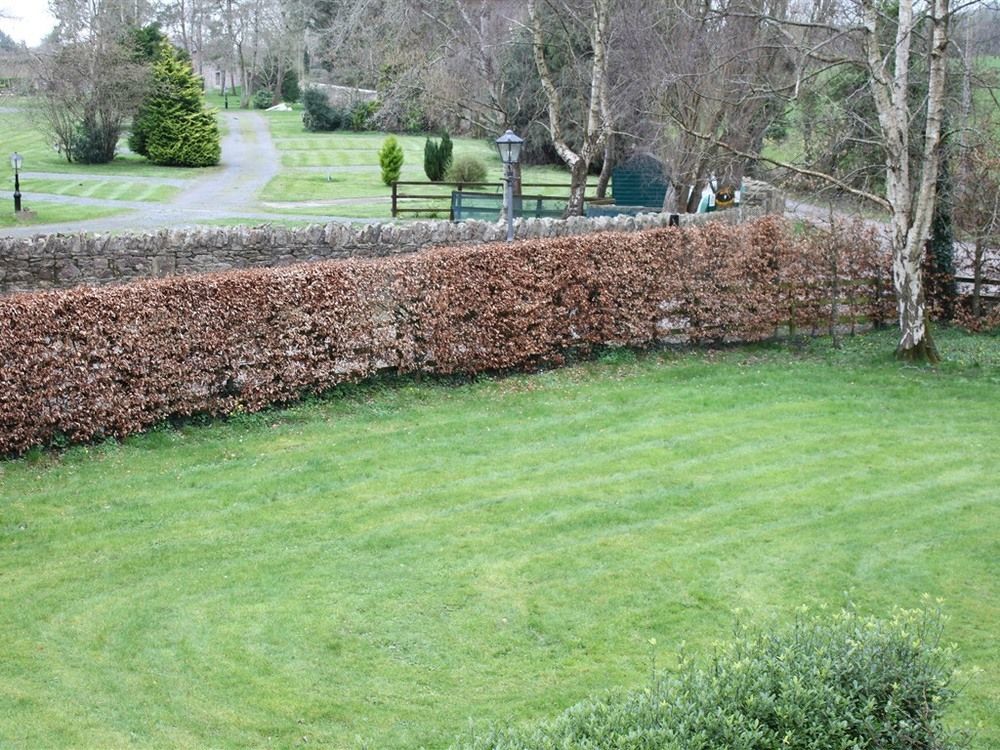 טיפרארי Ballinacourty House B&B מראה חיצוני תמונה