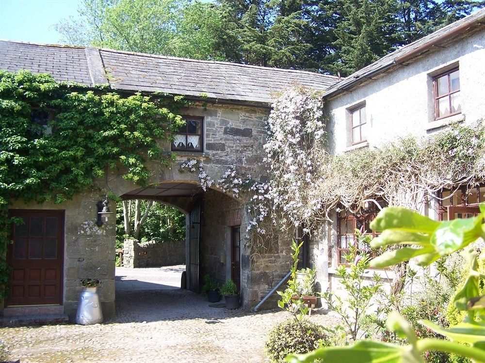 טיפרארי Ballinacourty House B&B מראה חיצוני תמונה