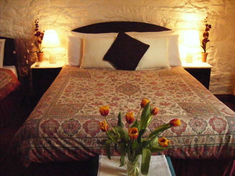 טיפרארי Ballinacourty House B&B מראה חיצוני תמונה