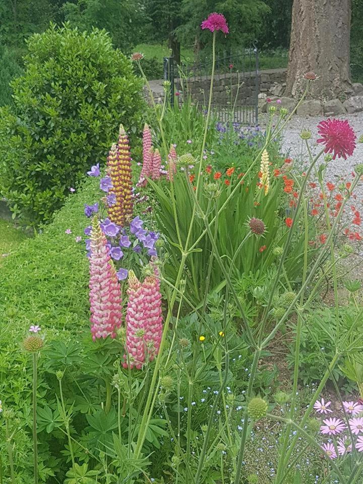 טיפרארי Ballinacourty House B&B מראה חיצוני תמונה